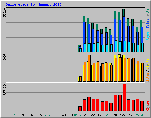 Daily usage for August 2025
