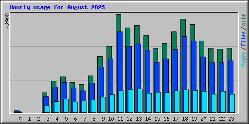 Hourly usage for August 2025