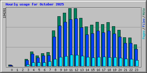 Hourly usage for October 2025