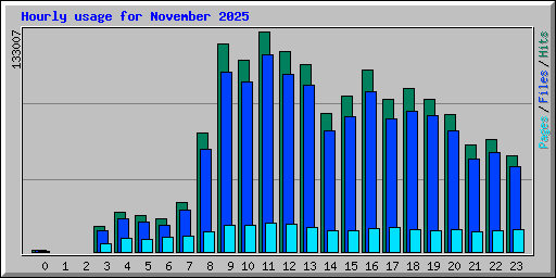 Hourly usage for November 2025