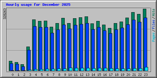 Hourly usage for December 2025