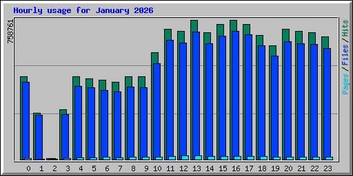 Hourly usage for January 2026